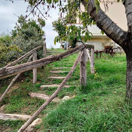 Casa Il Canto Tortoreto Exteriér fotografie