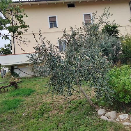 Casa Il Canto Tortoreto Exteriér fotografie