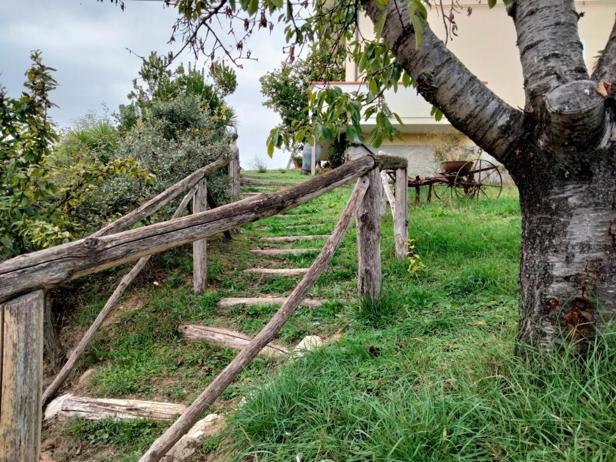 Casa Il Canto Tortoreto Exteriér fotografie